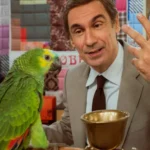 O ator Fabrizio Gifuni na pele de Enzo Tortora na minissérie Portobello, dirigida por Marco Bellocchio para a HBO Max.