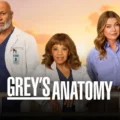 Elenco de Grey's Anatomy em cena da série renovada para a 23ª temporada