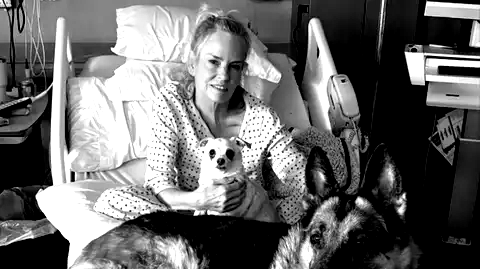 jennifer-runyon-atriz-caca-fantasmas-morre-65-anos