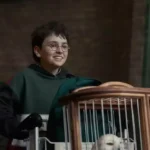 J.K. Rowling em evento público relacionada à série Harry Potter da HBO