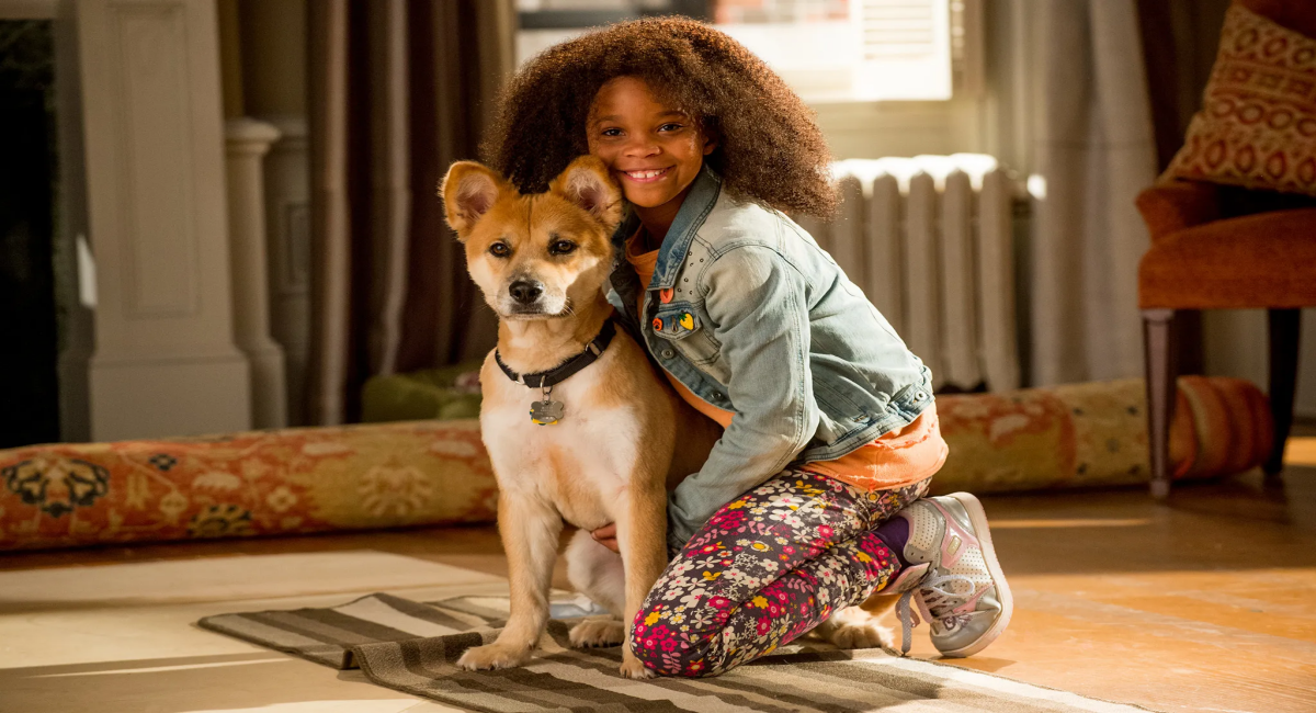 annie-2014-critica annie-2014-critica