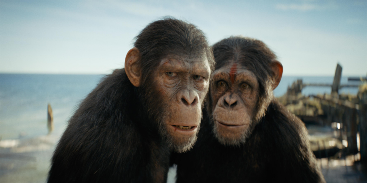 Imagem de divulgação da 20th Century Studios destaca o novo filme de Planeta dos Macacos dirigido por Matt Shakman.