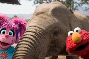 Elmo explora o Quênia ao lado de Abby Cadabby e Nina em novo especial de Vila Sésamo.