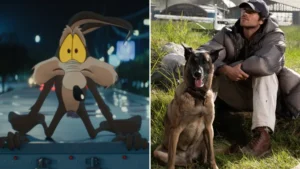 Coyote vs. Acme estreia nos cinemas com US$ 1,7 milhão arrecadados nas sessões de pré-estreia nos Estados Unidos e Canadá.