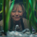 Filme Criaturas Notavelmente Brilhantes acompanha personagens unidos por uma conexão inesperada com um polvo.