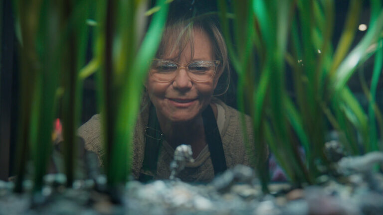 Filme Criaturas Notavelmente Brilhantes acompanha personagens unidos por uma conexão inesperada com um polvo.