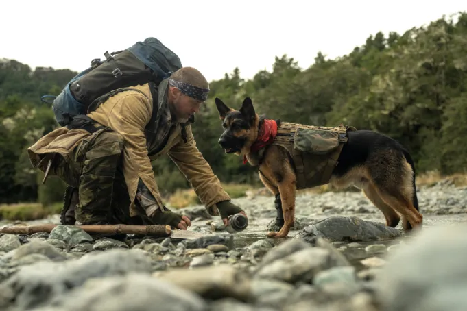 Brad Pitt e um cão carregam “Coração Selvagem” em uma jornada de sobrevivência