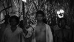 Documentário "Black Zombie" investiga as origens haitianas do mito dos zumbis e sua transformação pelo cinema.